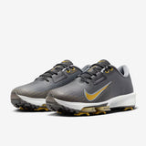 Nike Men's Air Zoom Infinity Tour NXT% 2 Golf Shoes